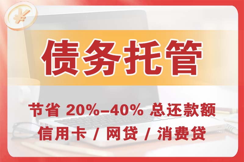 芜湖债务托管